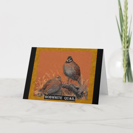 Carte Bobwhite Quail (Géorgie, Missouri et Tennessee) (Devant)