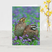 Carte Bobwhite Quail Photographie (Fleur jaune)
