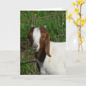 Carte Boer Billy Goat Kid (Fleur jaune)
