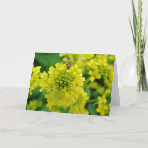 Carte Bogue sur la fleur