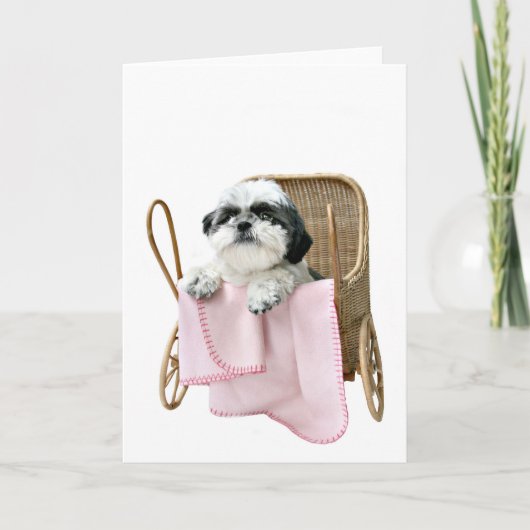 Carte Boguet de bébé de Shih Tzu (Devant)
