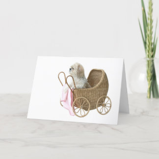 Carte Boguet de bébé de Shih Tzu