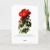 Carte Boho Chic Joyeux anniversaire Red Roses Bouquet Ta (Dos)