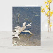 Carte Bois (Fleur jaune)