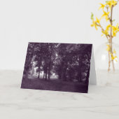 Carte Bois, Bute Park Cardiff - BW violet (Fleur jaune)