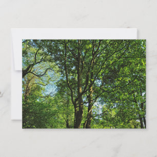Carte Bois de Blackweir, Parc Bute, Cardiff Pays de Gall
