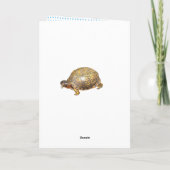 Carte Boîte Est Tortue Drôle Personnalisable Anniversair (Dos)