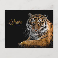 Carte Boîtier Golden Tiger