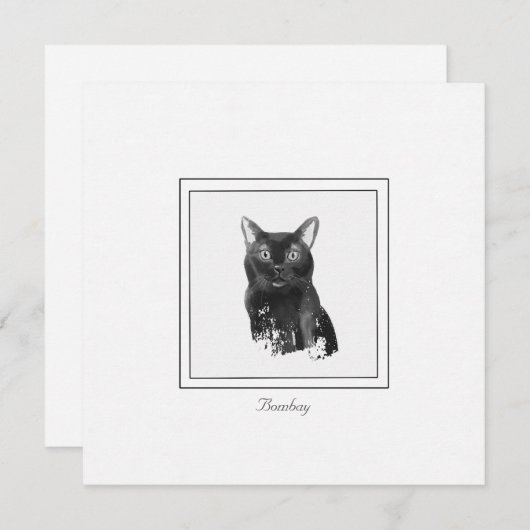 Carte Bombay Cat Elegant Chalk Dessin Note Plat (Devant / Derrière)