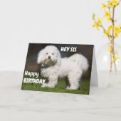 CARTE BON CHIEN POUR L'ANNIVERSAIRE DE MA SOEUR (Fleur jaune)