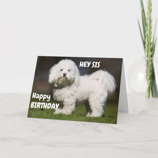 CARTE BON CHIEN POUR L'ANNIVERSAIRE DE MA SOEUR (Devant)