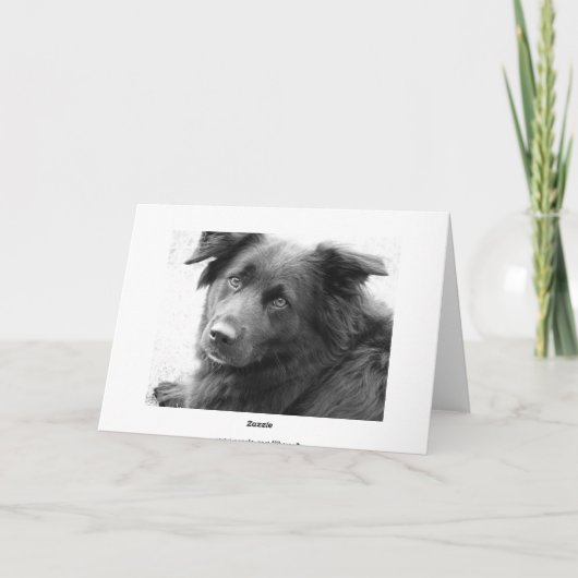 Carte Bon guérison (Dos)