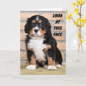 CARTE "BON THANKSGIVING À VOUS" DIT TRISTE DOT (Fleur jaune)