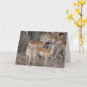 Carte Bonjour (Fleur jaune)