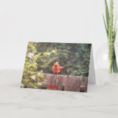 Carte Bonjour (Devant)