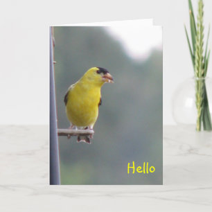 Carte Bonjour