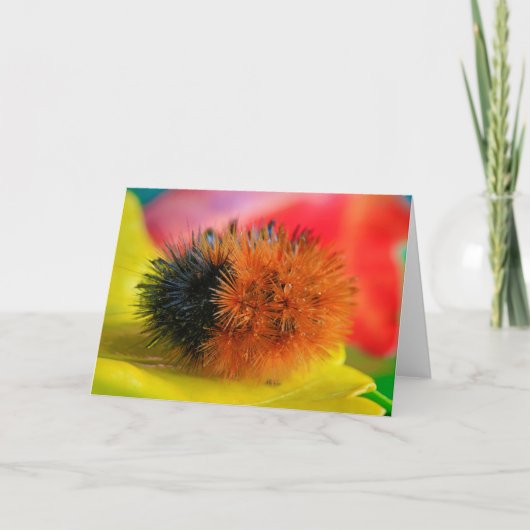 Carte Bonjour (Devant)