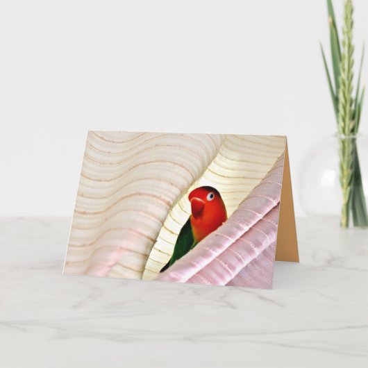 Carte Bonjour ! (Devant)