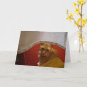 Carte Bonjour, (Fleur jaune)