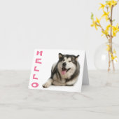Carte Bonjour Alaskienne Malamute Chien Chien Chien Note (Fleur jaune)