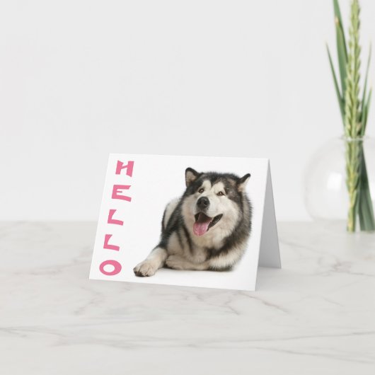 Carte Bonjour Alaskienne Malamute Chien Chien Chien Note (Devant)