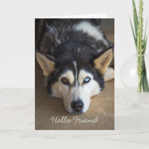 Carte Bonjour ami Husky Dog Salutation personnalisée
