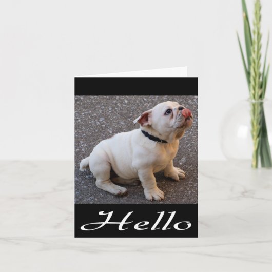 Carte Bonjour Anglais Bulldog Chien Chien Chien Chien No (Devant)