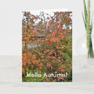 Carte Bonjour automne