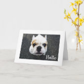 Carte Bonjour Bulldog Greeting Card - Verse (Fleur jaune)