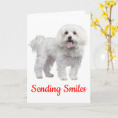 Carte Bonjour Chien De Chien De Chien De Chien De Chien (Fleur jaune)