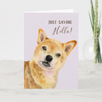 Bonjour | Chien mignon Shiba Inu