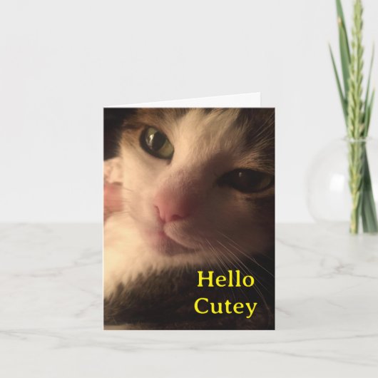 Carte Bonjour cutey (Devant)