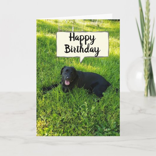 CARTE BONJOUR D'ANNIVERSAIRE BECUZ VOUS "COMPTE" FAV CO- (Devant)