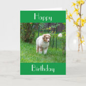 CARTE BONJOUR D'ANNIVERSAIRE COMME PROFITABLE COMME MARC (Fleur jaune)