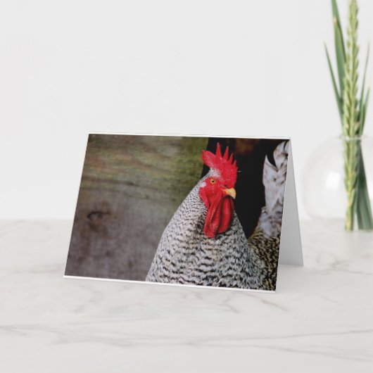 Carte Bonjour, Elmer ! (Devant)