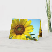 Carte Bonjour ensoleillé (Dos)