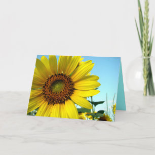 Carte Bonjour ensoleillé