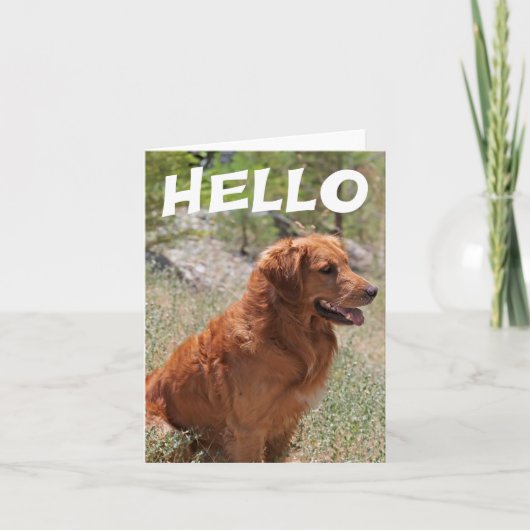 Carte Bonjour Golden Retriever Chien Chien Chien Blanc C (Devant)