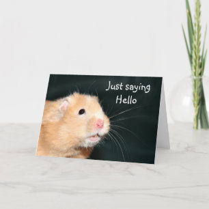 Carte Bonjour Hamster