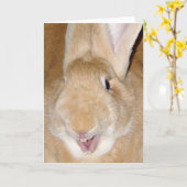 Carte Bonjour lapin (Fleur jaune)