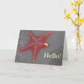 Carte Bonjour ! Nature de sable de Stafish de plage au (Fleur jaune)