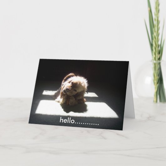 CARTE BONJOUR, PENSEZ À VOUS AMIS OU FAMILLE (Devant)