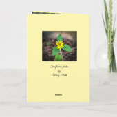 Carte Bonjour Tournesol (Dos)