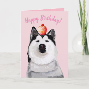Carte Bonne Anniversaire Funny Post Card, Husky, Gâteau