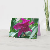 Carte Bonne Anniversaire Meilleur Ami Phalaenopsis Orchi (Dos)