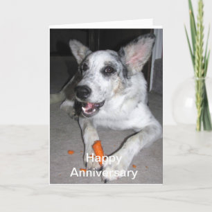 Carte Bonne Carotte Anniversaire