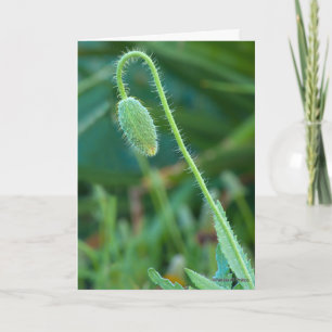 Carte Bonne chance sur les nouveaux débuts Poppy Bud Pho