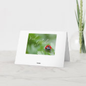 Carte Bonne chance, surtout à Corona. (Dos)