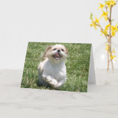 Carte Bonne exécution Shih Tzu (Fleur jaune)