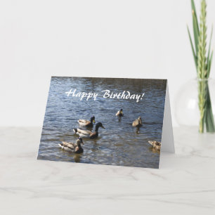 Carte Bonne fête, canards sauvages dans l'étang